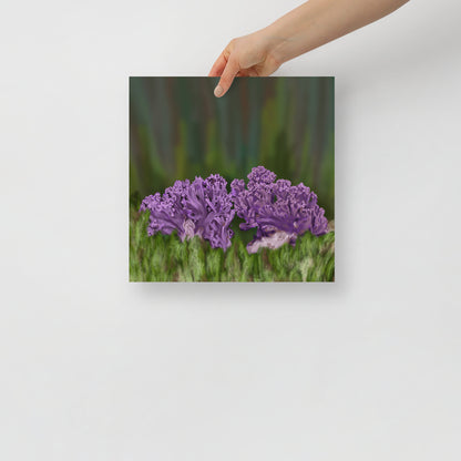 Violet Coral Mushroom Premium Paper Poster (INCHES)