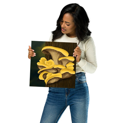 Yellow Oyster Mushroom Premium Matte Poster (Inches)