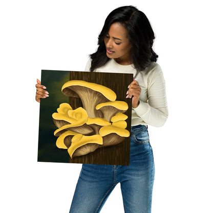 Yellow Oyster Mushroom Premium Matte Poster (Inches)