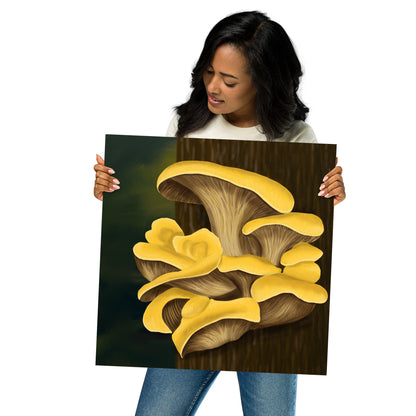 Yellow Oyster Mushroom Premium Matte Poster (Inches)