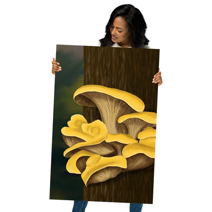 Yellow Oyster Mushroom Premium Matte Poster (Inches)